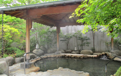 南アルプス釜無川温泉 むかわの湯