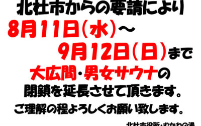 南アルプス釜無川温泉 むかわの湯