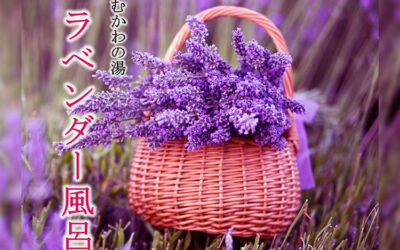 ラベンダー風呂 南アルプス釜無川温泉 むかわの湯