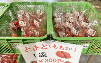 キュウリ・トマト入荷しました！ 南アルプス釜無川温泉 むかわの湯