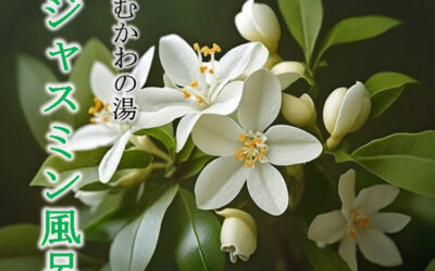ジャスミン風呂のお知らせ 南アルプス釜無川温泉 むかわの湯