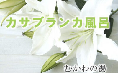 カサブランカ風呂 南アルプス釜無川温泉 むかわの湯