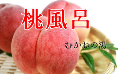 桃風呂 南アルプス釜無川温泉 むかわの湯