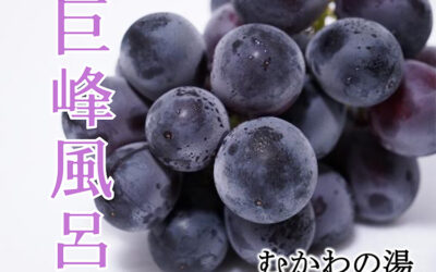 巨峰風呂 南アルプス釜無川温泉 むかわの湯