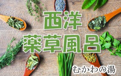 西洋薬草風呂 南アルプス釜無川温泉 むかわの湯