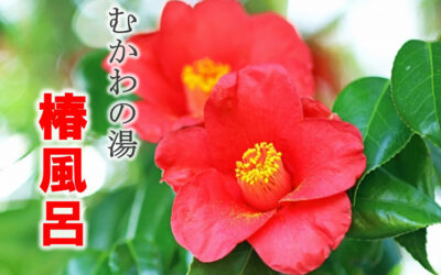 椿風呂 南アルプス釜無川温泉 むかわの湯