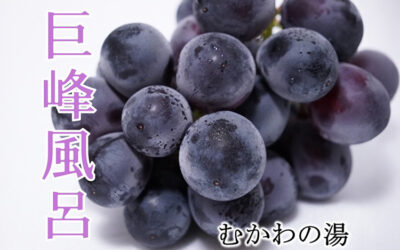 巨峰風呂 南アルプス釜無川温泉 むかわの湯