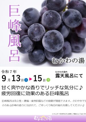 巨峰風呂 南アルプス釜無川温泉 むかわの湯