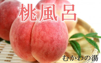 桃風呂 南アルプス釜無川温泉 むかわの湯